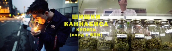ГАЛЛЮЦИНОГЕННЫЕ ГРИБЫ Вязьма