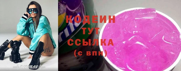 эйфоретик Вяземский