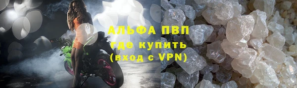 ГАЛЛЮЦИНОГЕННЫЕ ГРИБЫ Вязьма
