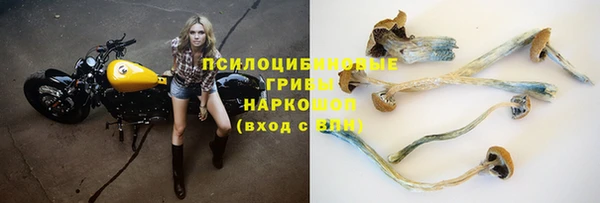 эйфоретик Вяземский