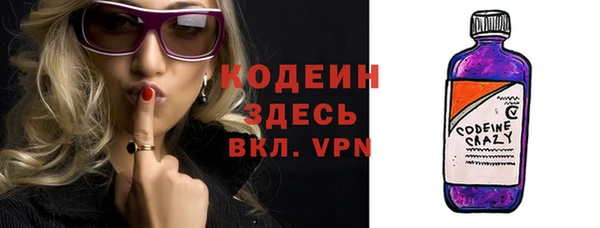 эйфоретик Вяземский