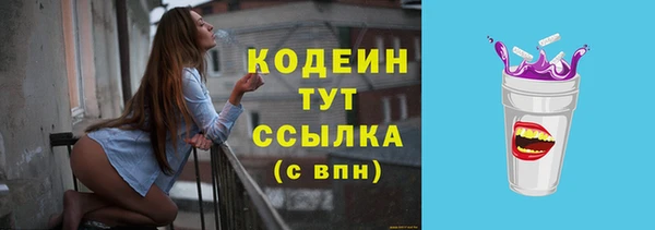 эйфоретик Вяземский