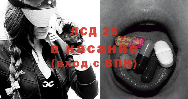эйфоретик Вяземский