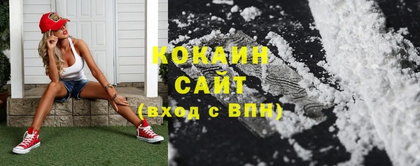 ГАЛЛЮЦИНОГЕННЫЕ ГРИБЫ Вязьма