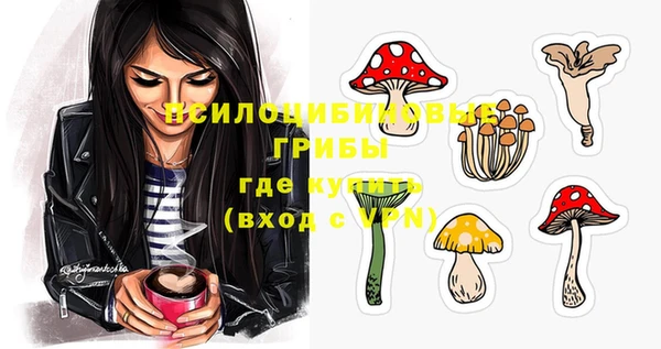 ГАЛЛЮЦИНОГЕННЫЕ ГРИБЫ Вязьма