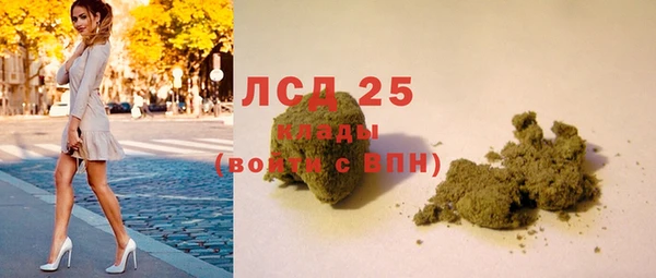 эйфоретик Вяземский